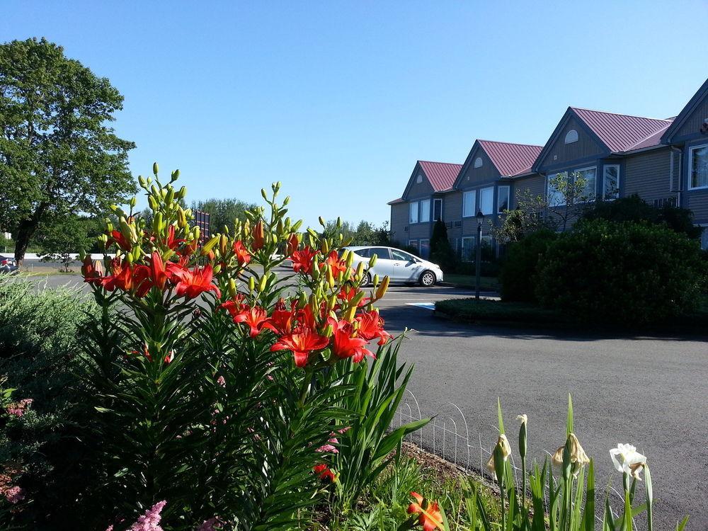 Granite Town Hotel Saint George Extérieur photo